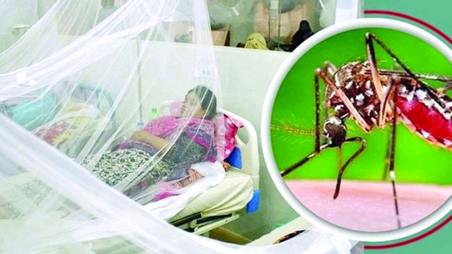 কুষ্টিয়ায় ডেঙ্গুতে  শিশু ও নারীর মৃত্যু  ২৪ ঘণ্টার ব্যবধানে 