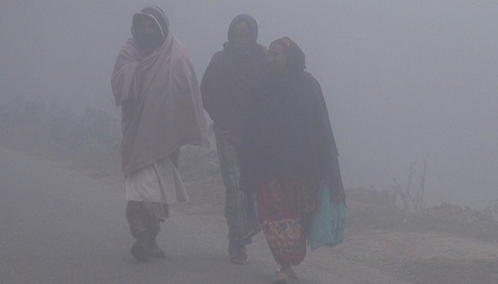 শীতে কাঁপছে চুয়াডাঙ্গা, তাপমাত্রা নেমে ৯ ডিগ্রিতে