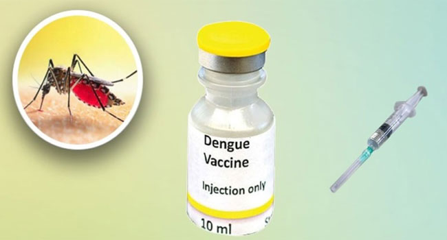 গবেষকরা ডেঙ্গুর ওষুধ : প্রথম ট্রায়ালেই সাফল্য