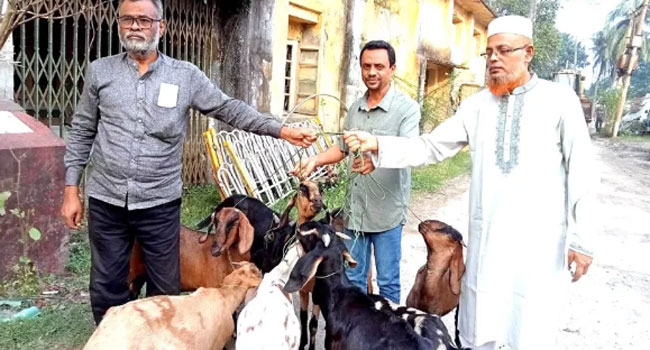  ৯টি ছাগল এক বছর সাজাভোগের পর মুক্তি পেল