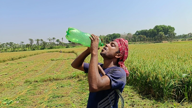এক সপ্তাহে ১০ জনের মৃত্যু হিটস্ট্রোকে। 