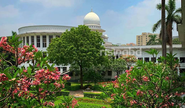 হাইকোর্টের রুল গাছ কাটা-লাগানো নিয়ে 