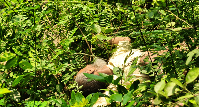 কুষ্টিয়ায় রেলসেতুর নিচ থেকে বৃদ্ধের লাশ উদ্ধার