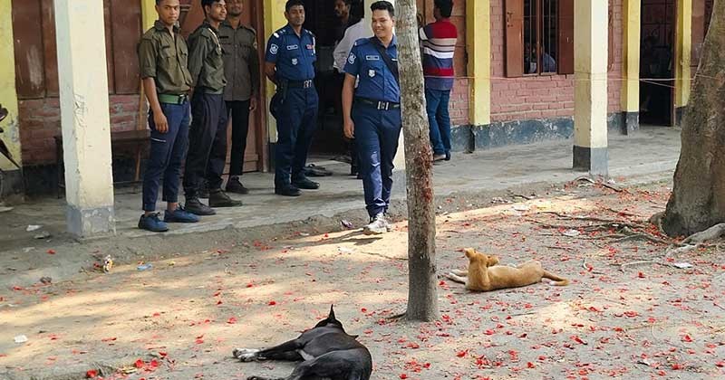 কুকুর ভোটকেন্দ্রের মাঠে , ৩ ঘণ্টায় ভোট পড়েছে মাত্র ১৯টি