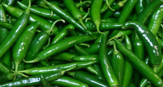 ৩০০ টাকা ছাড়িয়েছে কাঁচামরিচের কেজি 