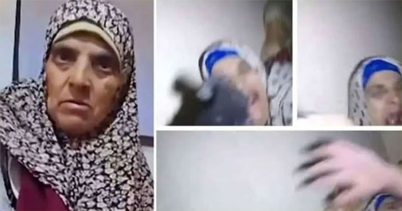 ইসরাইলি সেনাবাহিনী কুকুর লেলিয়ে দিলো  ৬৬ বছরের ফিলিস্তিনি নারীর ওপর