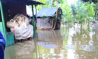 নোয়াখালী তে কমছে না পানি,  বৃষ্টি না থাকলে ও।