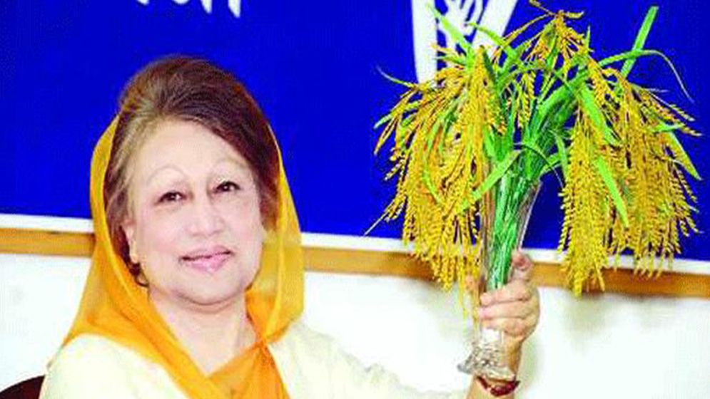 বিএনপির  ধানের শীষের প্রচারণা শুরু, শৃঙ্খলা রক্ষায় মাঠে ৩ সংগঠন