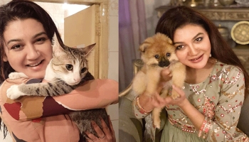 জয়া আহসান মজেছেন বিড়ালের প্রেমে। 