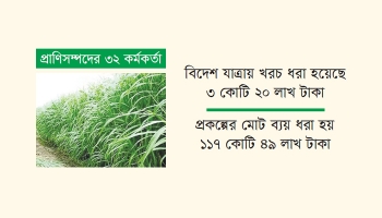 তারা ঘাস চাষ শিখতে বিদেশ যেতে চান।
