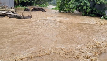  শেরপুরে টানা বৃষ্টিতে ভয়াবহ বন্যায় নিহত ৫।