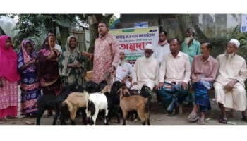 ছাগল বিতরণ সিংগাইরে দুস্থদের মাঝে