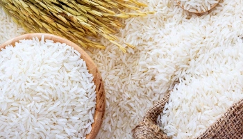 চাল আমদানিতে এবার শুল্ক-কর কমল