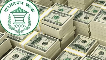 ১৯ দিনে এলো ১৮ হাজার কোটি টাকার রেমিট্যান্স