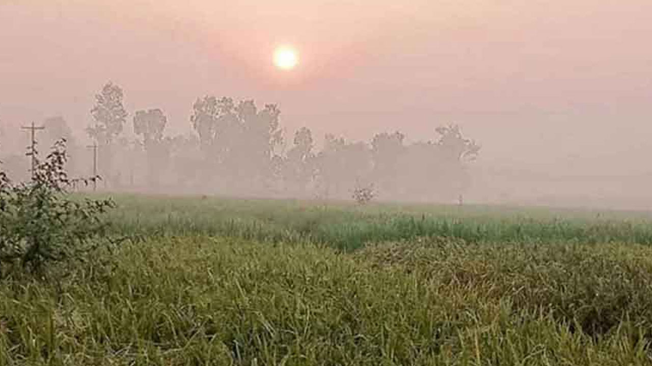 পড়বে কুয়াশা ,সারাদেশে কমবে দিন-রাতের তাপমাত্রা