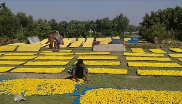 দেশব্যাপী সিরাজগঞ্জের সুস্বাদু কুমড়ো বড়ির চাহিদা