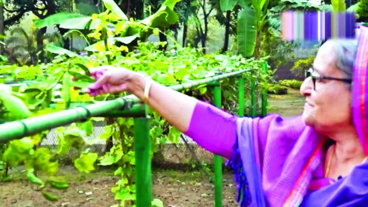 গ্রামের গেরস্ত বাড়ি গণভবন 