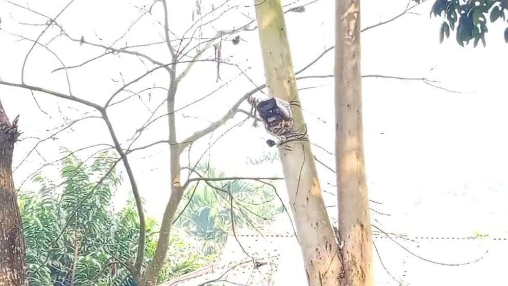 বিএসএফ সীমান্ত থেকে সিসিটিভি ক্যামেরা সরিয়ে নিল 