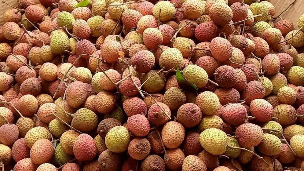 লিচু কেজি দরে বিক্রি হচ্ছে !