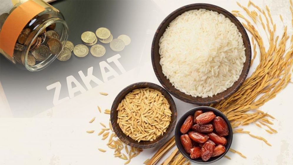 ফিতরা কাদের জন্য প্রযোজ্য,জাকাত ও ফিতরার পার্থক্য কী? 