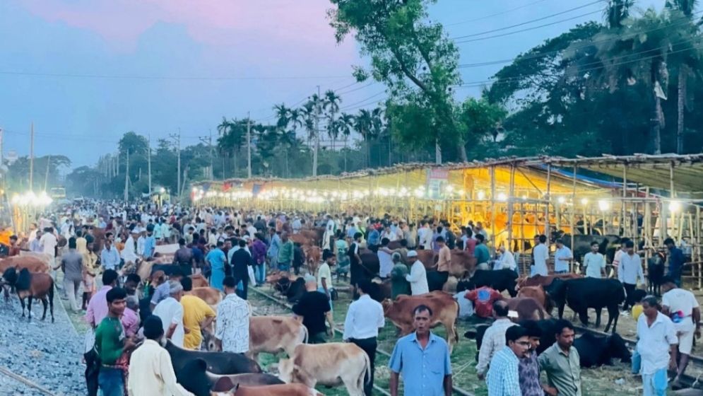 আমিও রেললাইনের ওপর পশুর হাট বসিয়েছি’ ‘পুরো বাংলাদেশে বসাচ্ছে,