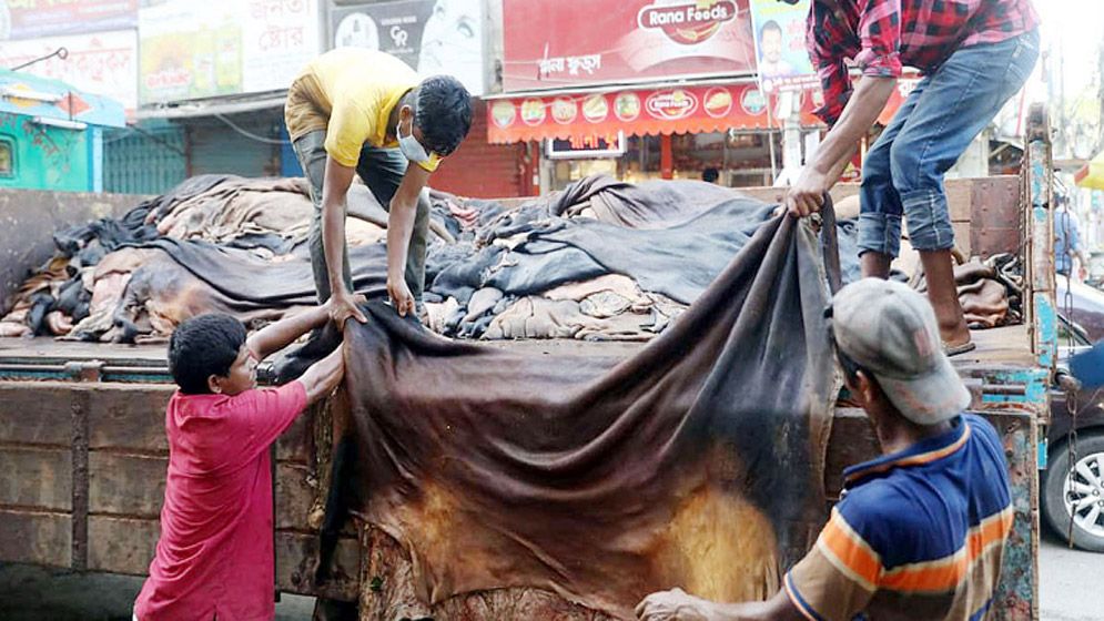 এবারও বিপর্যয়ের শঙ্কা কুরবানির চামড়া নিয়ে 