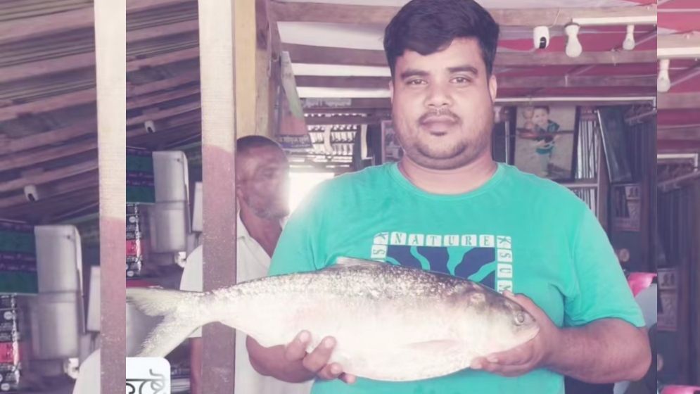 রাজা ইলিশ জেলের জালে , দাম ৯ হাজার টাকা