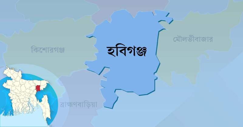 জেলা ছাত্রদলের ১১ নেতার জামিন হবিগঞ্জে এনসিপি’র মামলায় 